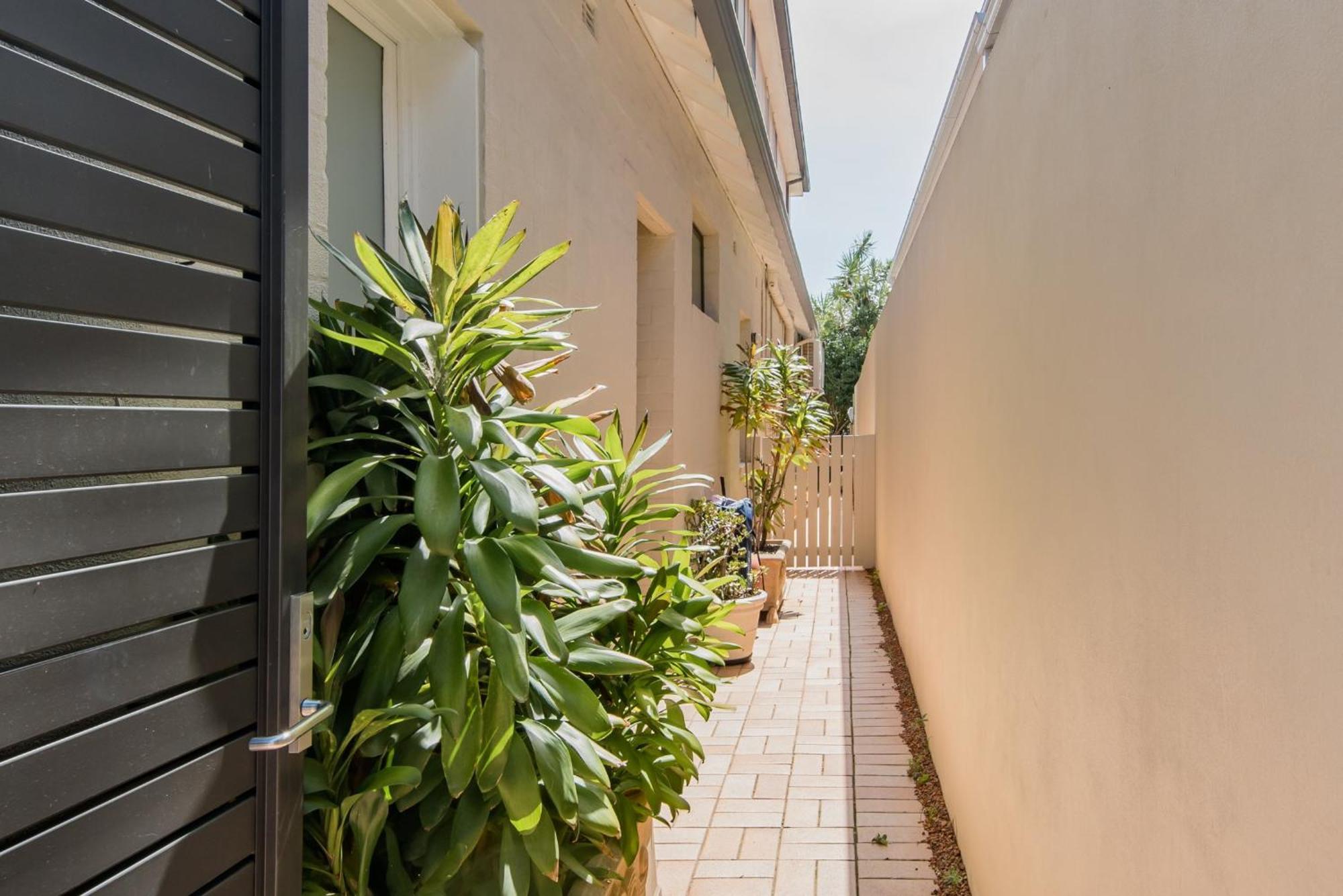 Holidayrento The Palm House Bondi Sydney Ngoại thất bức ảnh